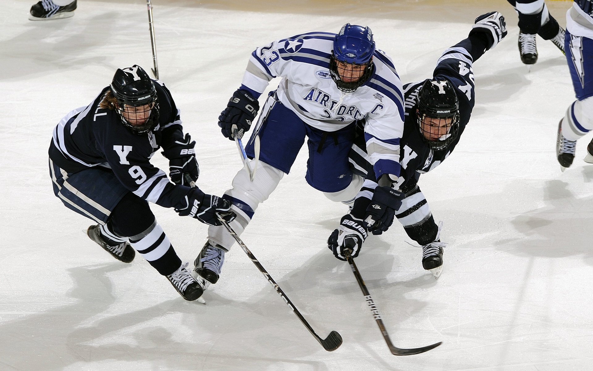 辽宁飞豹球员之间沟通合作效率显著提升，辽宁飞豹队领队