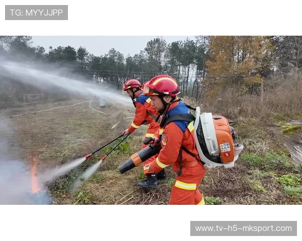 资深森林防火指挥官的判断：他是如何通过风向预测及时隔离火场蔓延的