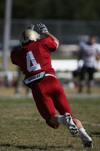 mk体育-五大联赛最具统治力的球队如何打造，五大联赛良心球队